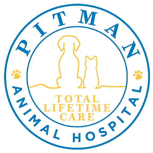 FAVICAON PITMAN ANIMAL HOSPITAL